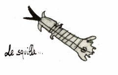 Squille déssinépar Nicolas