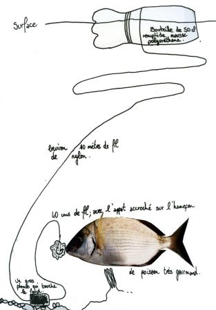 Technique de pêche du Stellina
