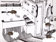 Dessin de Nicolas : les rats dans le bateau