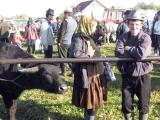 et le marche aux bestiaux