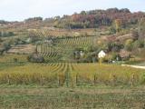 des vignobles Ã  perte de vue