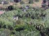 Naxos-vallee-verte-l__au-ne-manque-pas.jpg