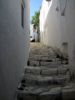 aperanthos-rue.jpg