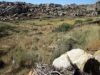 rando-halki-vers-le-kastro.jpg