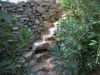 escalier-d-acces-dans-chemin-Halki.jpg