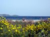 mer-argolide-fleurie.jpg