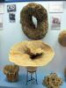eponges-differents-types.jpg