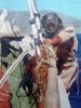 scaphandrier-remontant-au-bateau.jpg