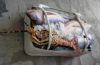 panier-de-vendeur-de-poisson.jpg