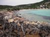 baie-turquoise-et-muret.jpg