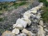 muret-pour-ovins-et-caprins.jpg