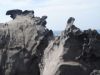 nisyris_016-800_-_Copie.jpg