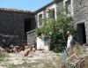 Encore des exploitations traditionnelles...