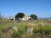 Petite ferme dans les hauteurs du sud