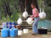 Fromages mis à égoutter sous les arbres