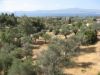 Vue imprenable de la maison de Katya