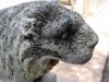 Lion mycenien