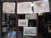 bouquiniste