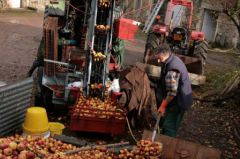 la presse à pommes