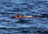 Le dauphin qui vient chaque jour nous saluer