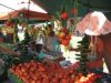 marche a eretria