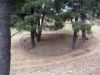 Le parc des chevres de Viki