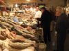La halle aux poisson