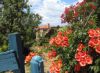 maison fleurie à Lefkos