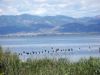 le lac Vistosis
