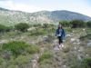Balade a Planitis dans la garrigue frequentee par les chevres