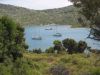 Mouillage a planitis