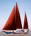 un Endurance 35